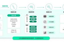 打通，沉淀，转化： 2024，品牌如何实现高质量增长？