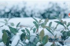 北京链家签约服务中心又提速了