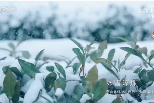 北京链家签约服务中心又提速了